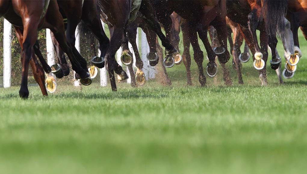 Les 3 rendez-vous hippisme du mois de juillet